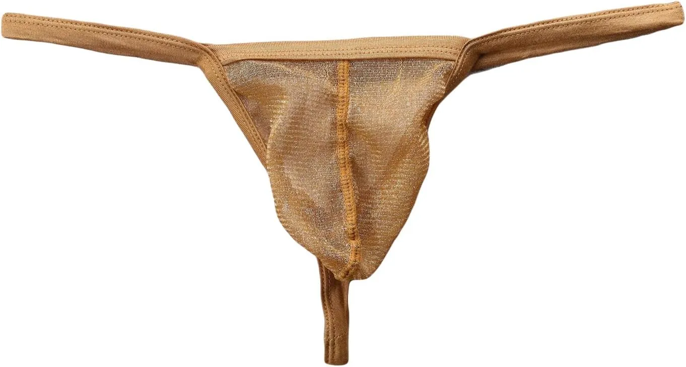 JEsilunmaMY Low Rise T-Back for Men Mesh Sheer Bulge Pouch G-String Thongs See Through Sexy Panties Bikini Briefs Underwear